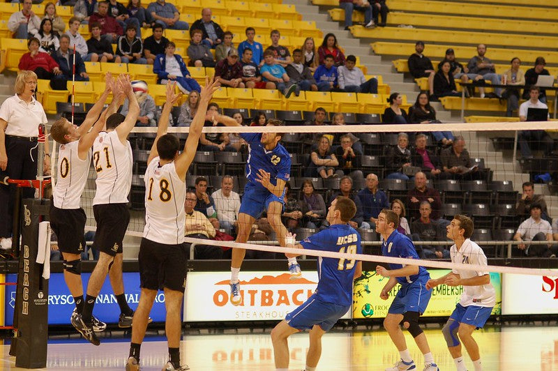 What Are The Dimensions of a Volleyball Court - Men's & Women's Net Sizes?