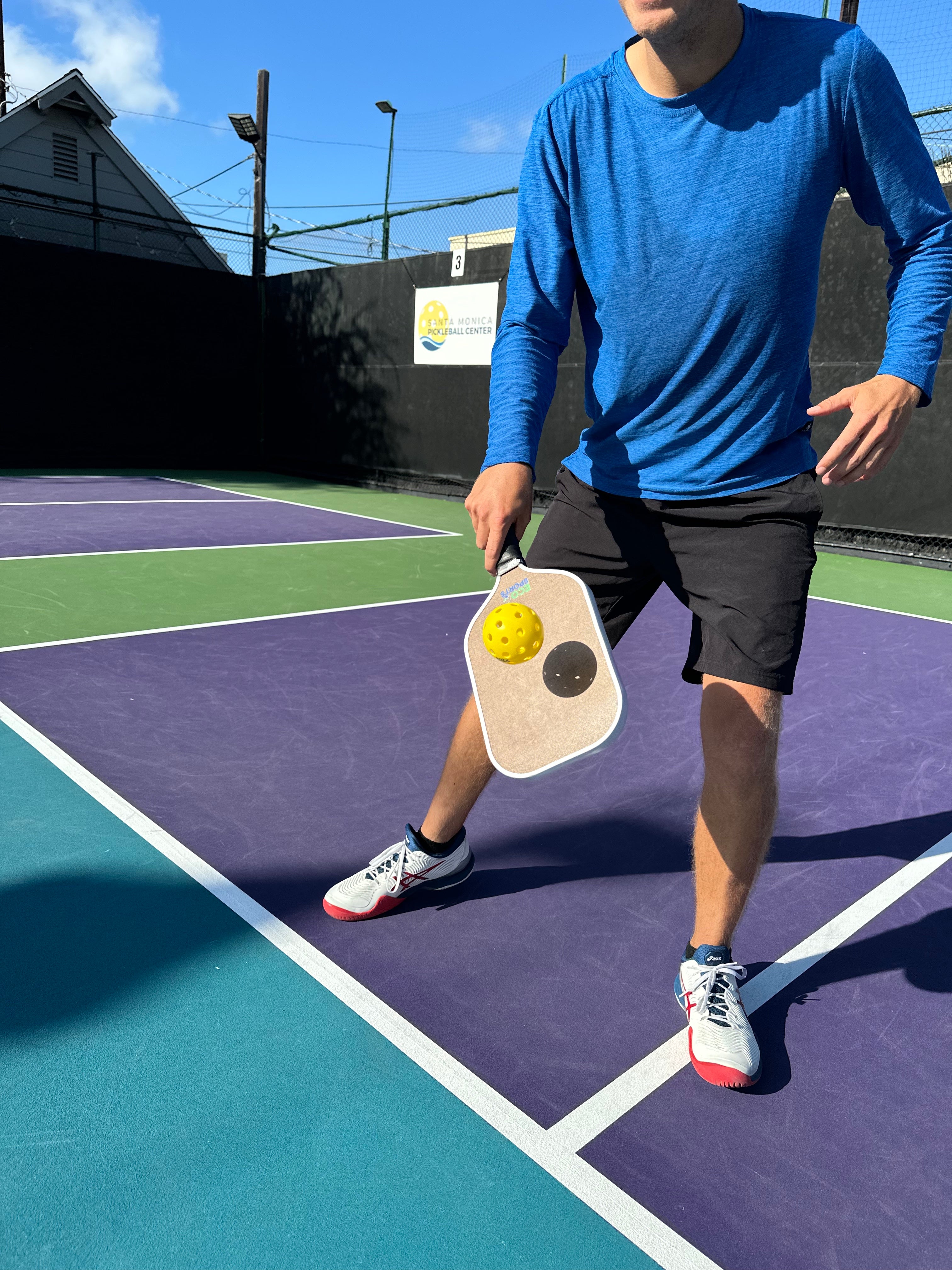 23 Fun & Random Facts About Pickleball