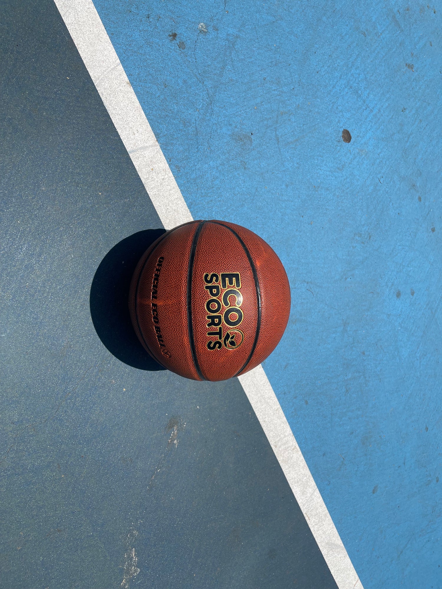 What Kind Of Basketballs Do Professionals Use