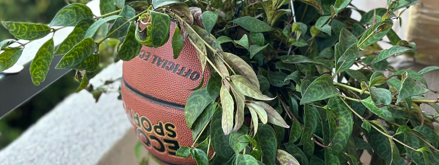 The Top 10 Most Sustainable Sporting Goods Brands