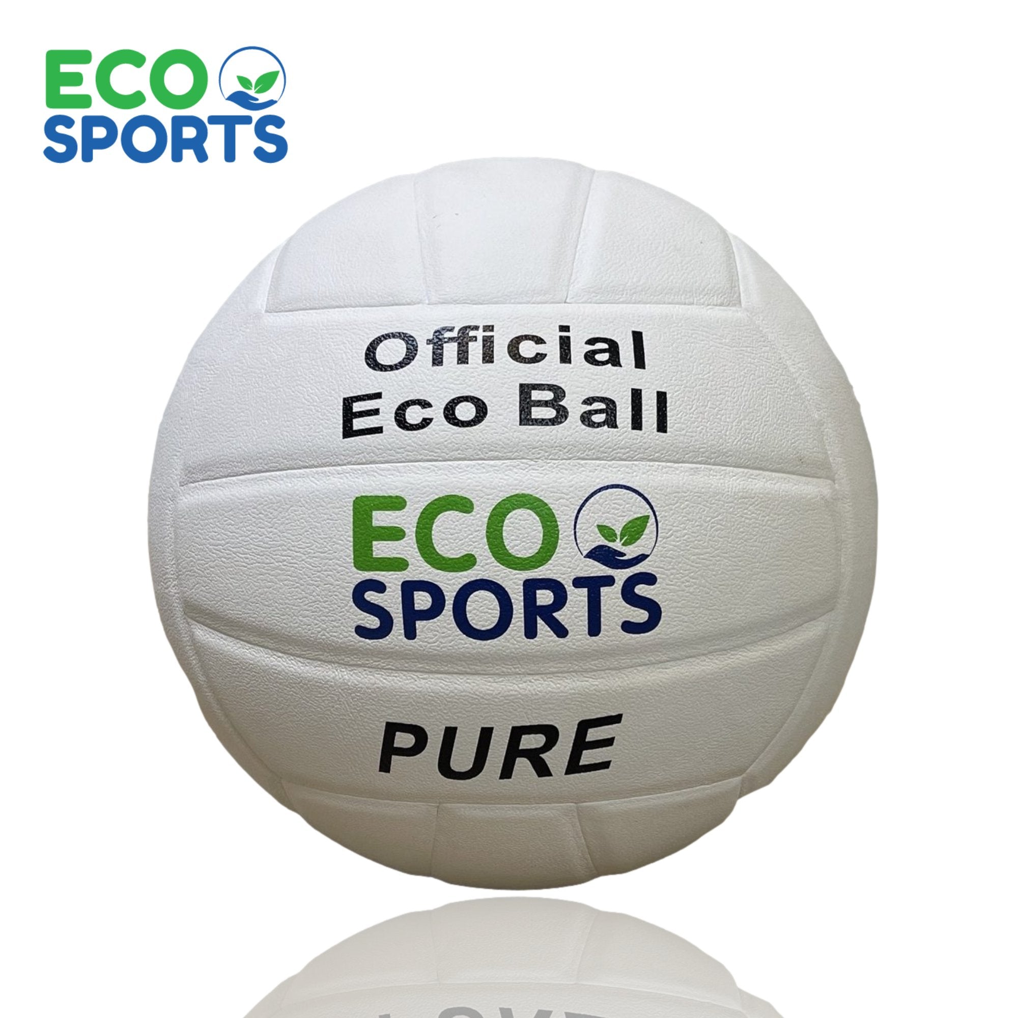 Beach Volleyballs