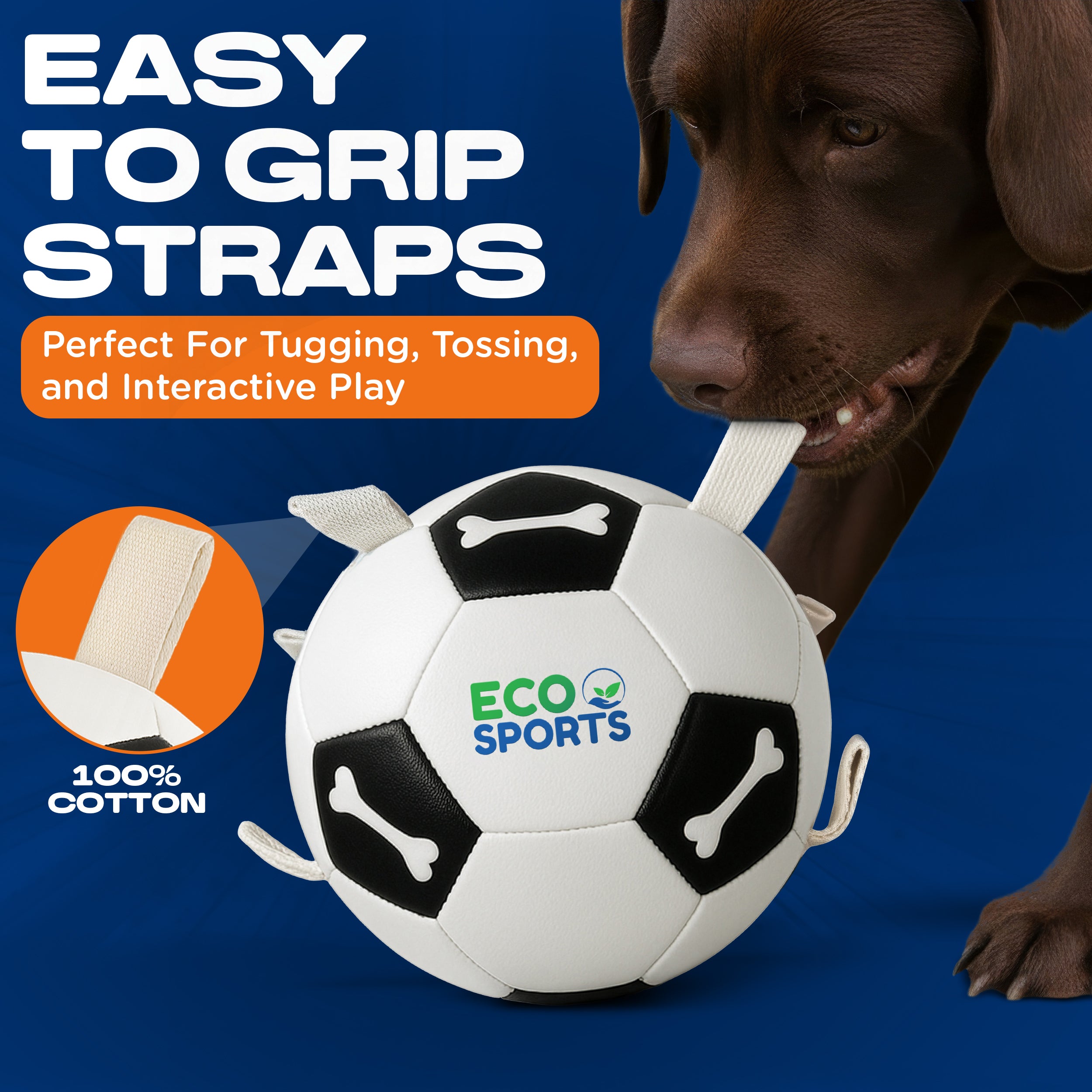 Non-Toxic Soccer Balls for Dogs TPU Toy