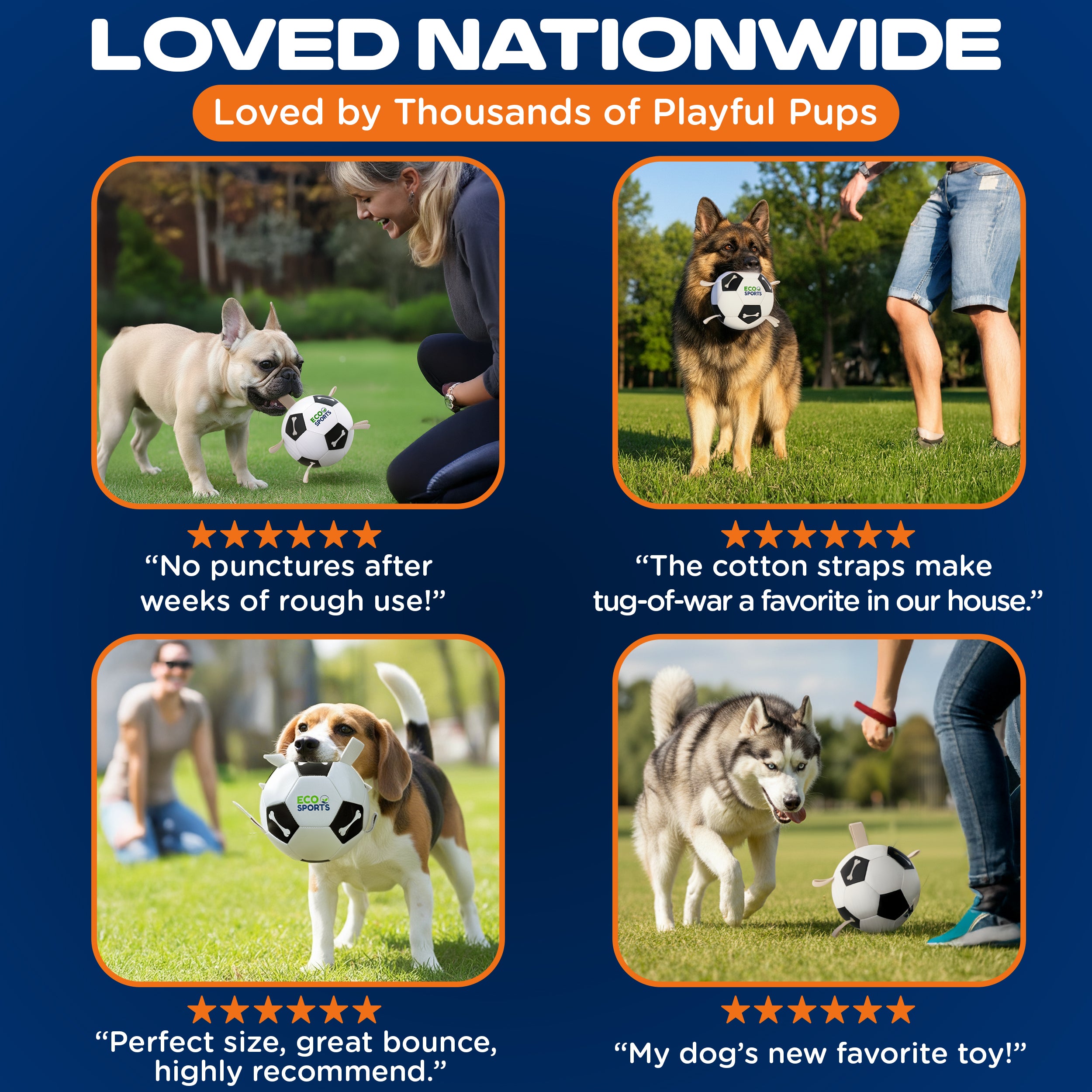 Non-Toxic Soccer Balls for Dogs TPU Toy