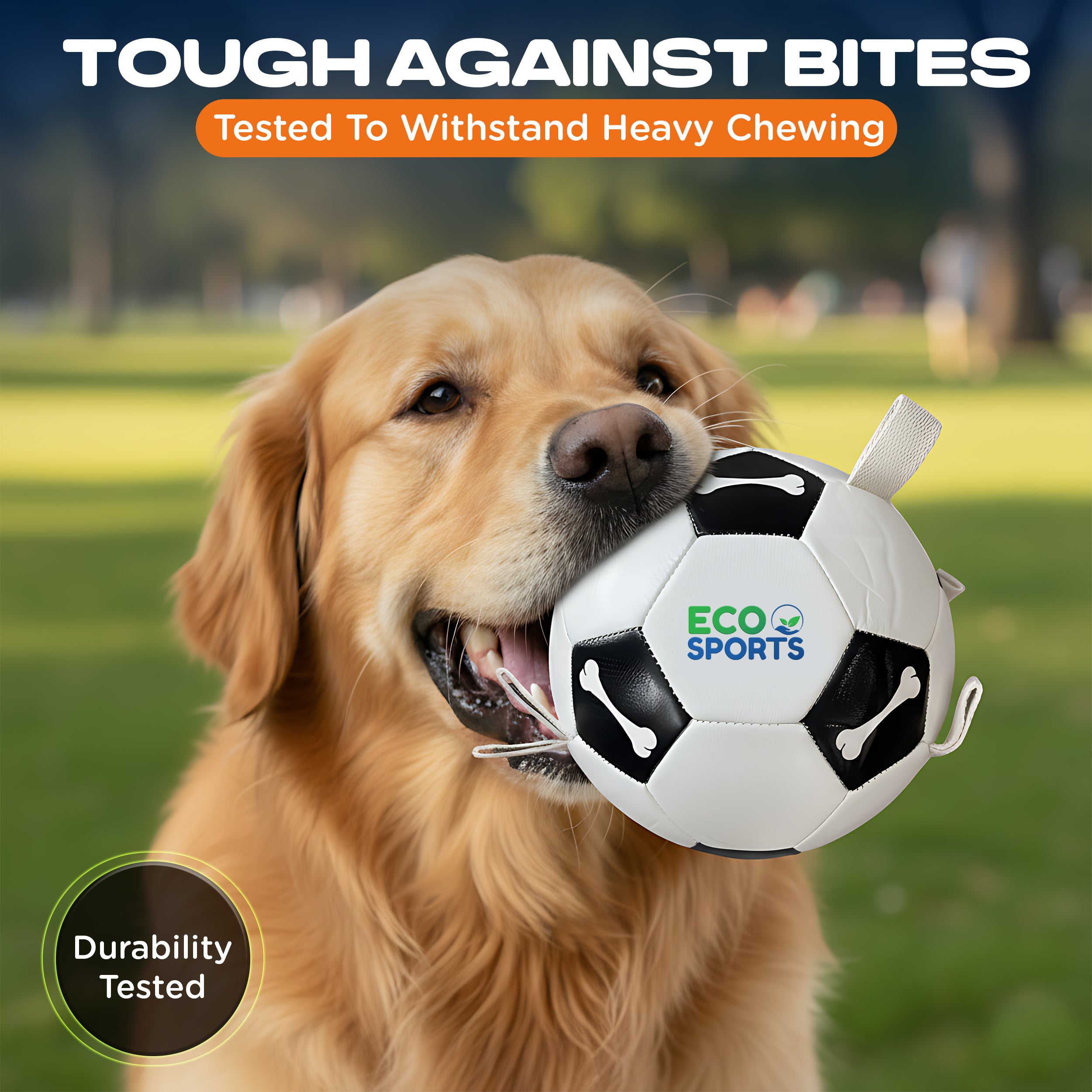 Non-Toxic Soccer Balls for Dogs TPU Toy