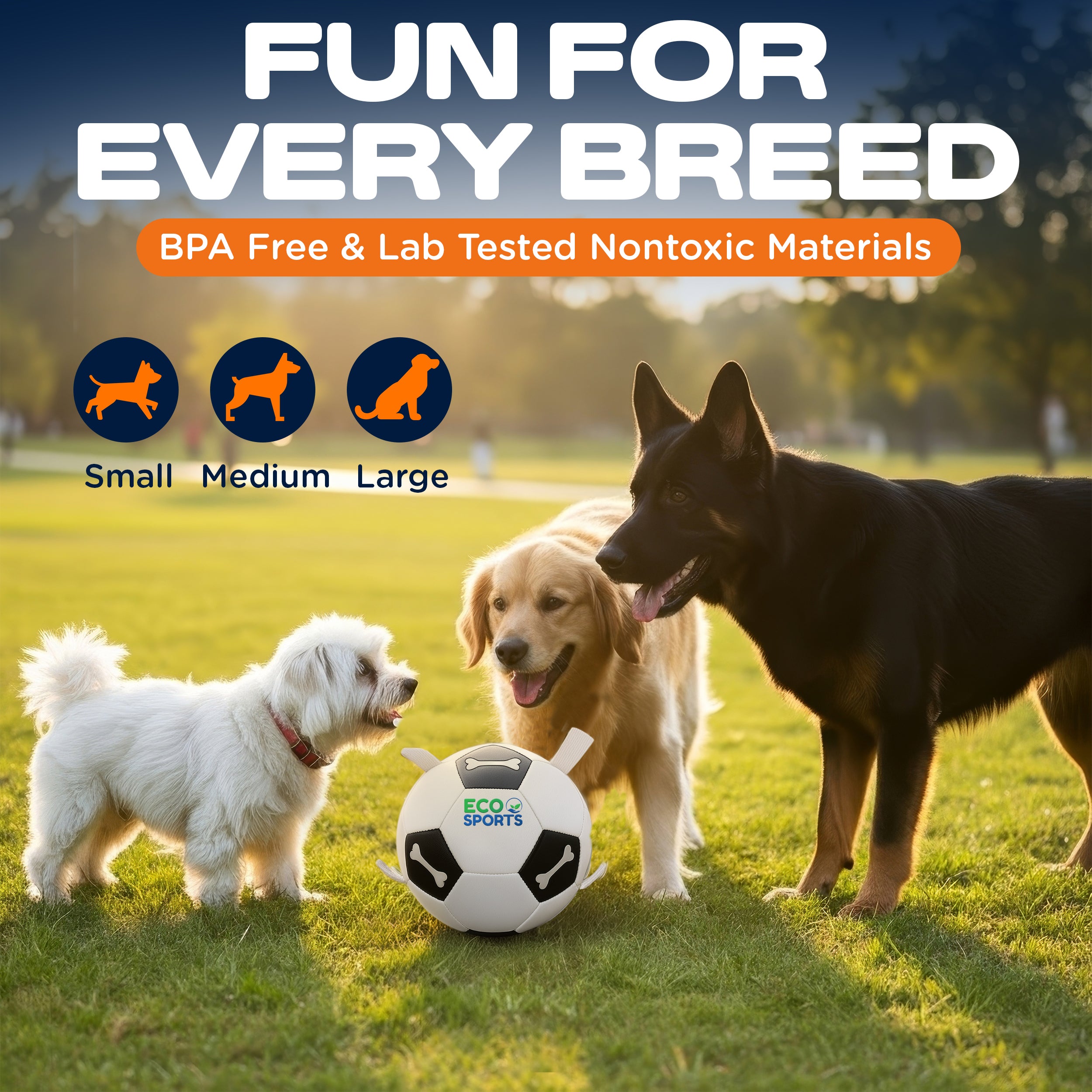 Non-Toxic Soccer Balls for Dogs TPU Toy