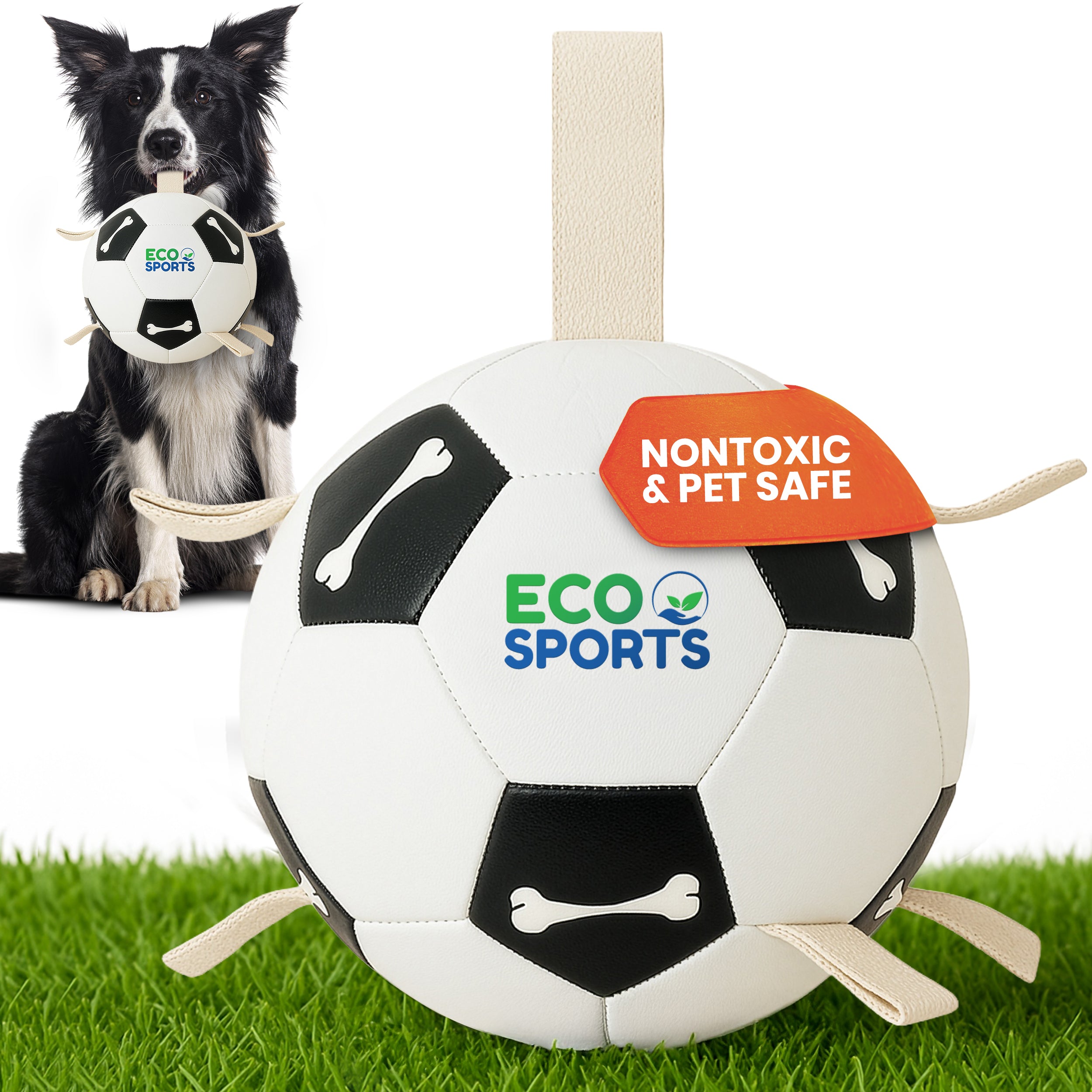 Non-Toxic Soccer Balls for Dogs TPU Toy