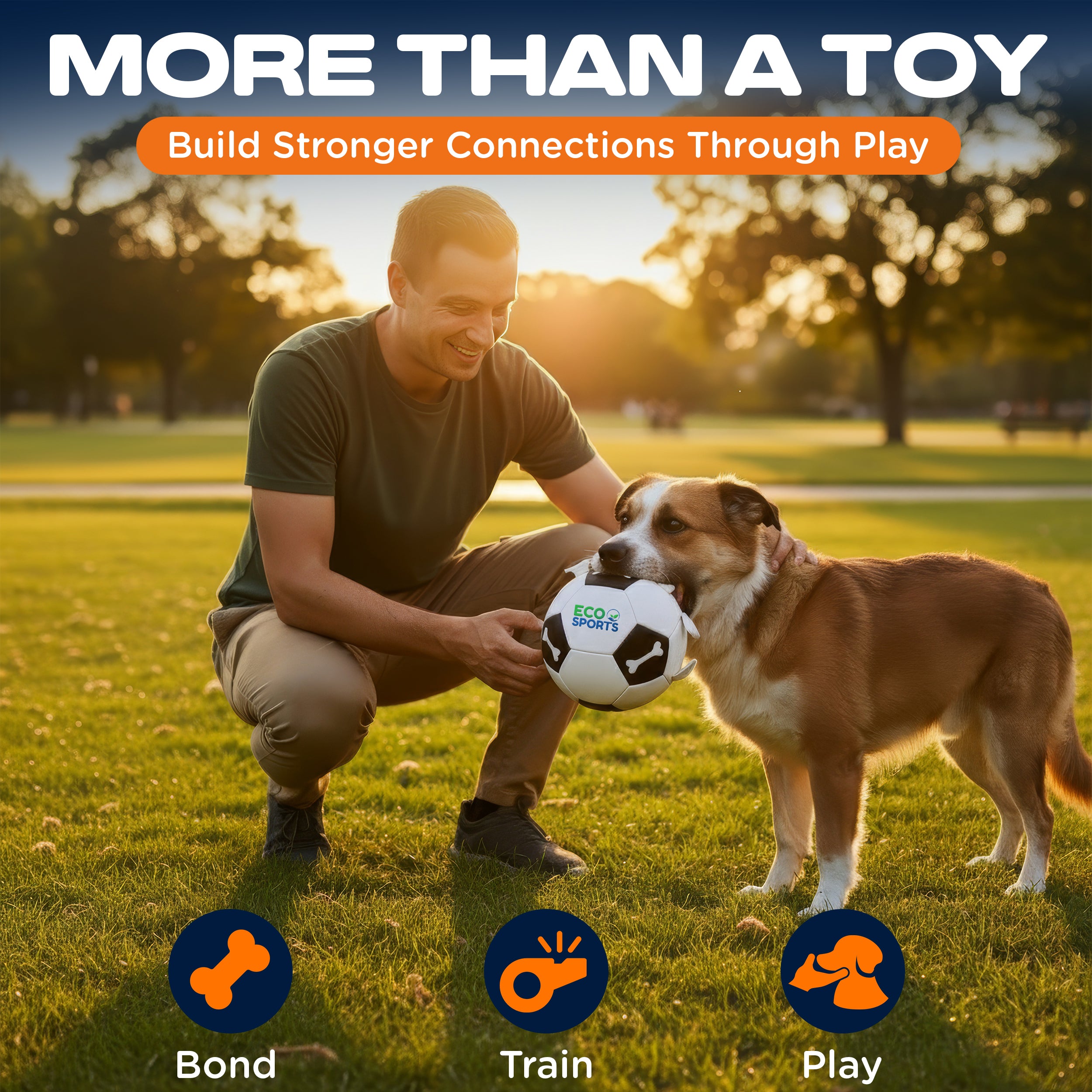 Non-Toxic Soccer Balls for Dogs TPU Toy