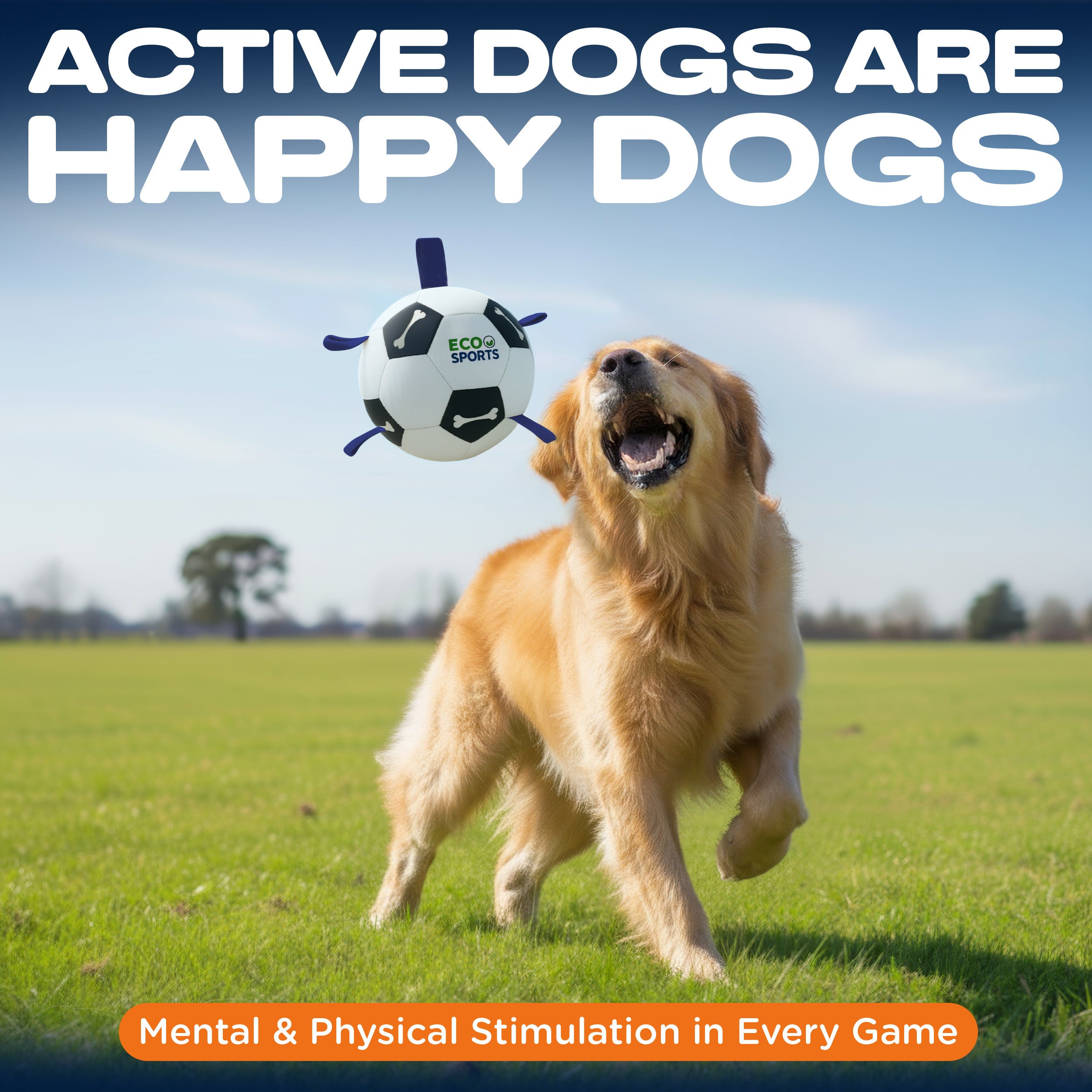 Non-Toxic Soccer Balls for Dogs TPU Toy