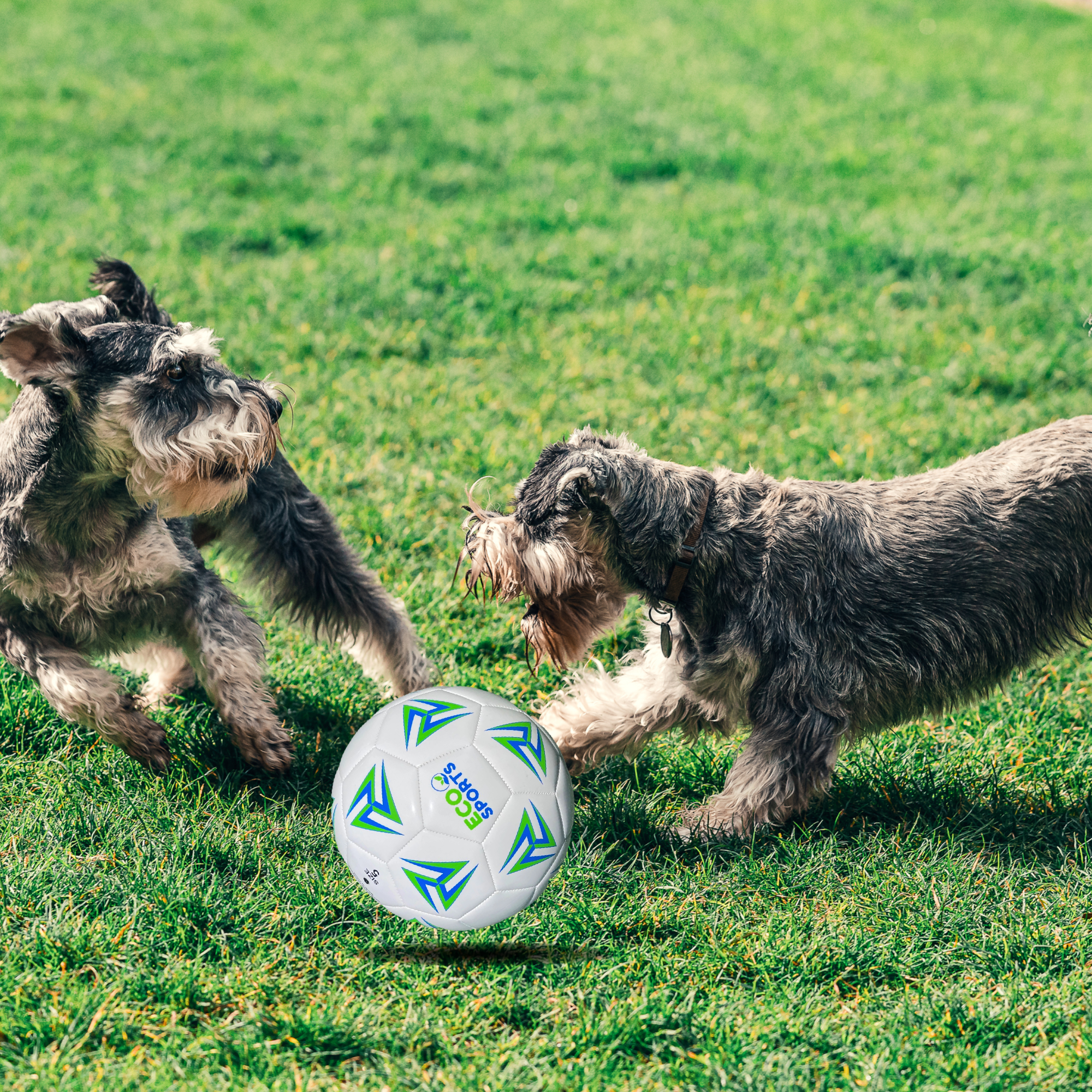 Non-Toxic Soccer Balls for Dogs TPU Toy