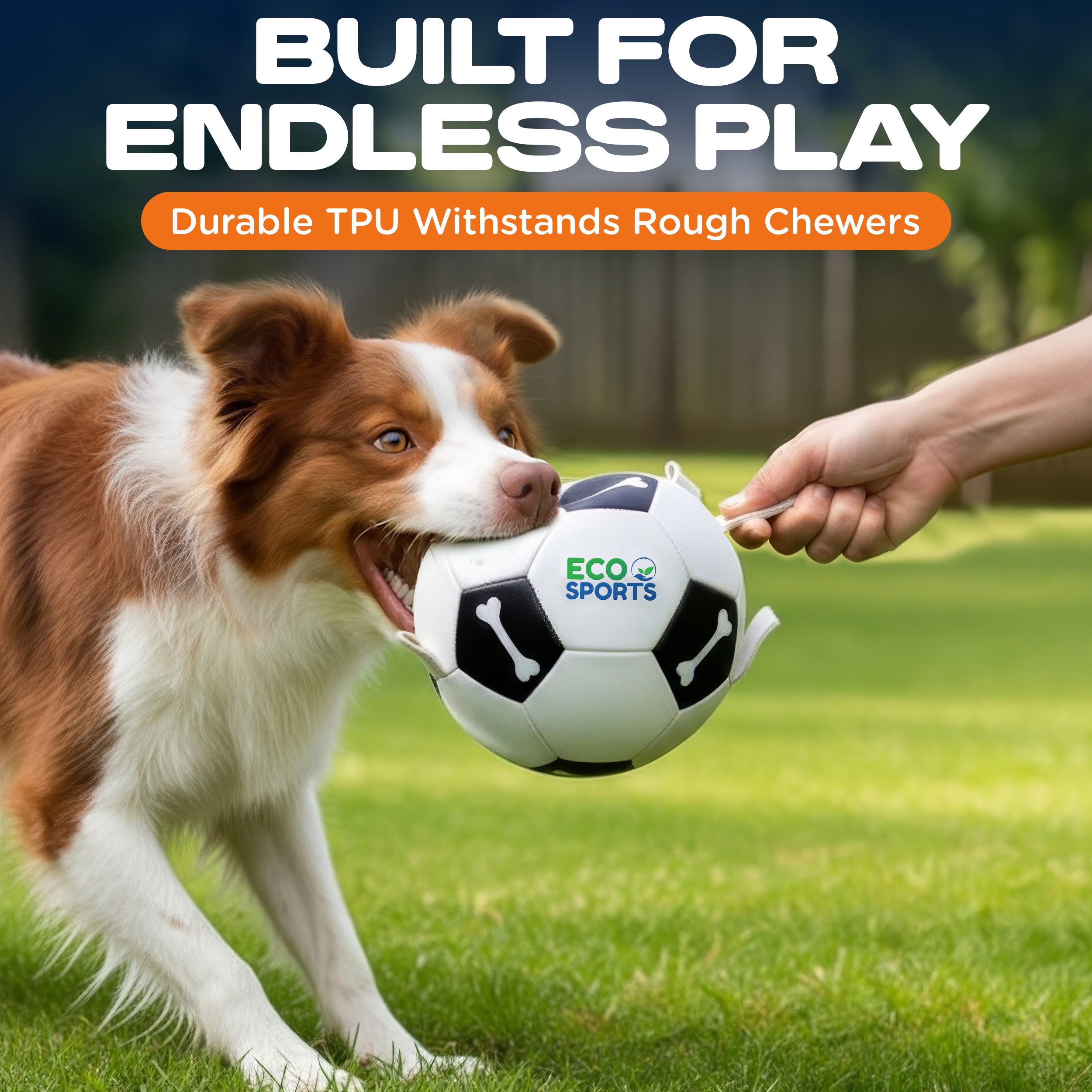 Non-Toxic Soccer Balls for Dogs TPU Toy