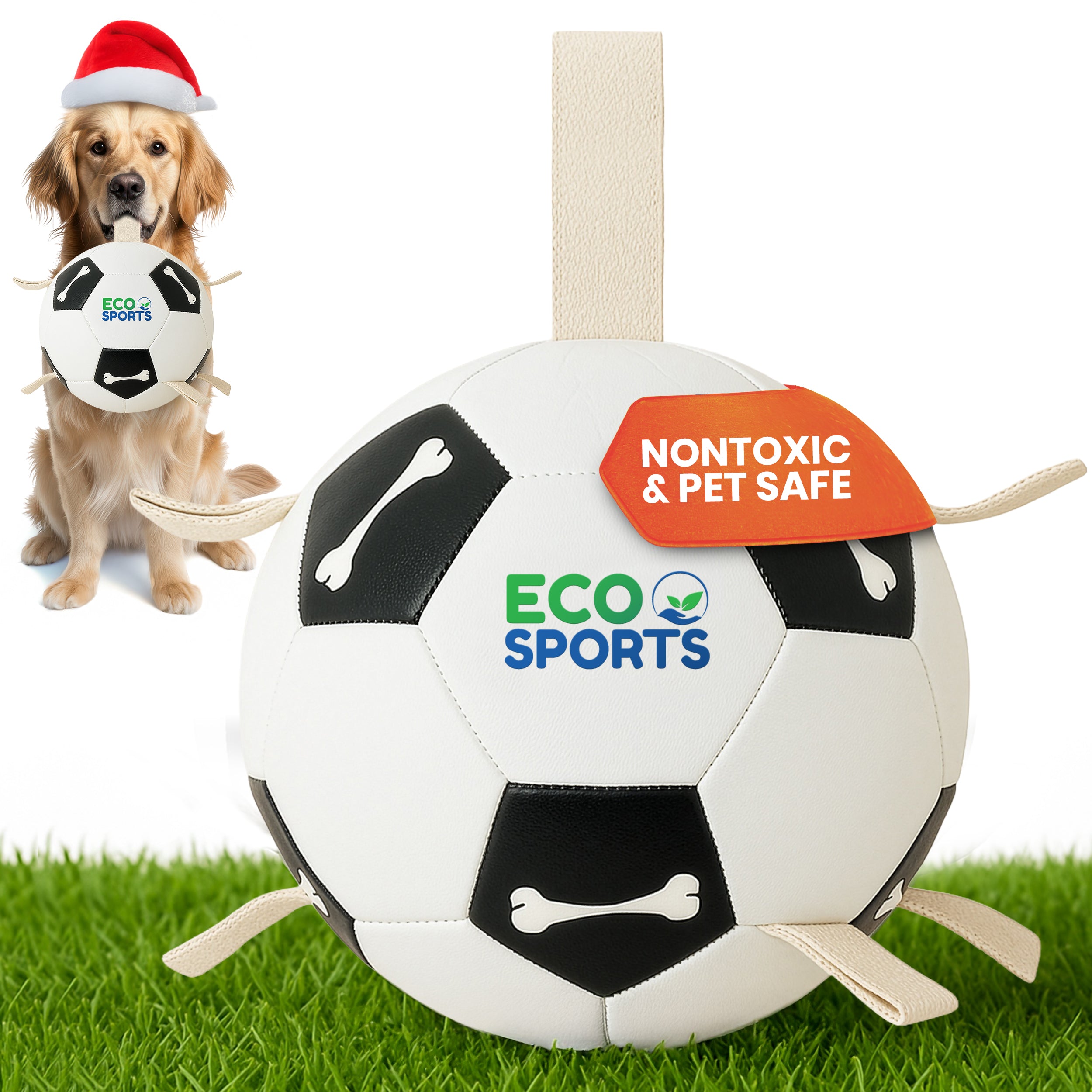 Non-Toxic Soccer Balls for Dogs TPU Toy