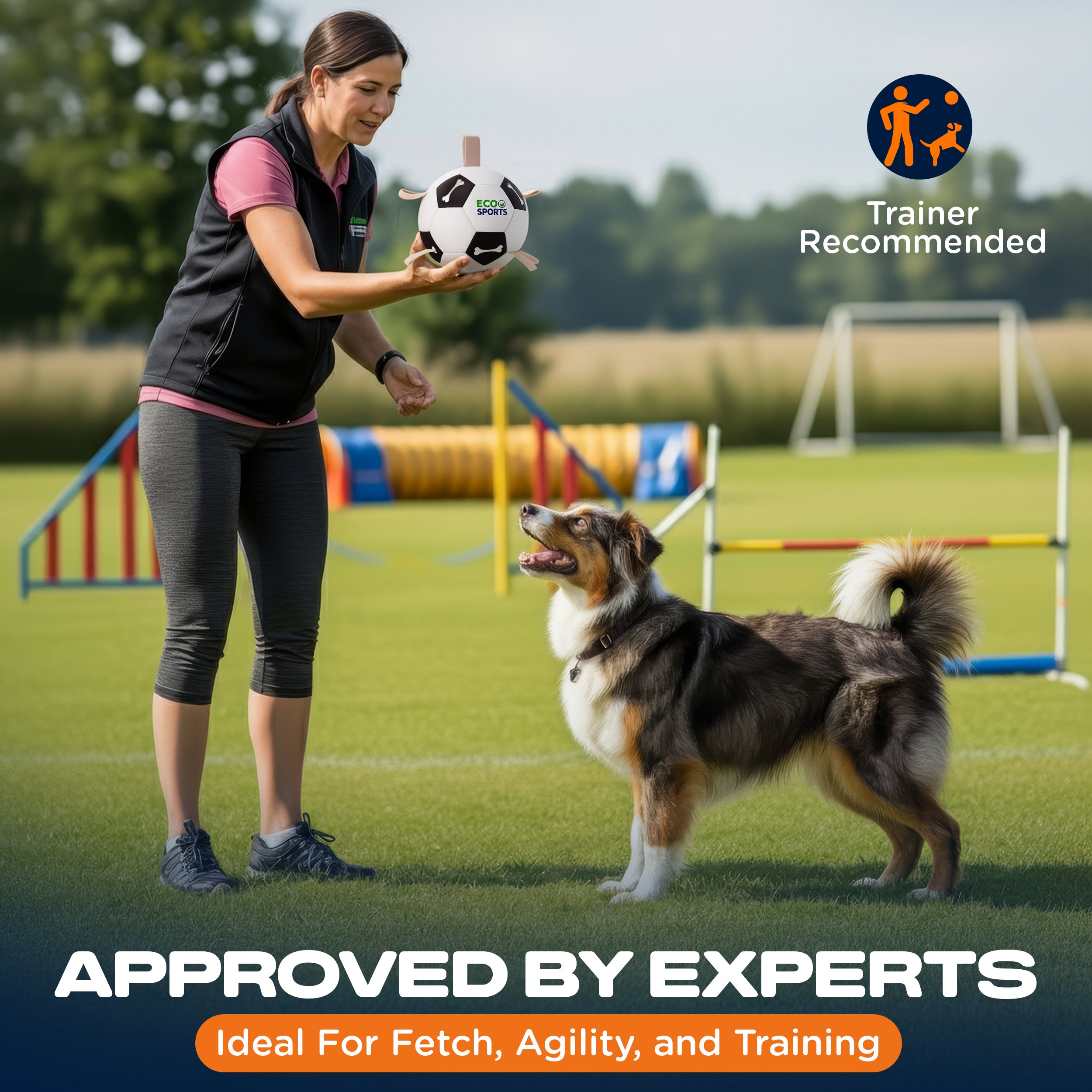 Non-Toxic Soccer Balls for Dogs TPU Toy