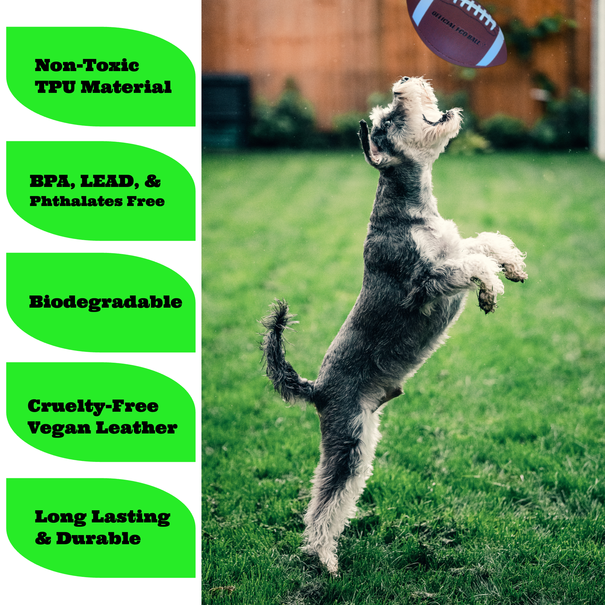 Non-Toxic Soccer Balls for Dogs Indestructible
