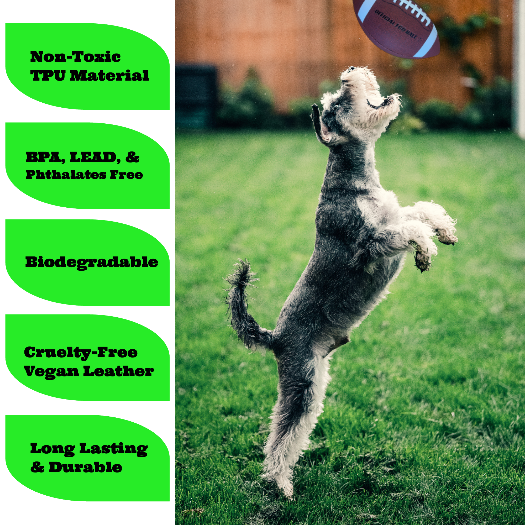 Non-Toxic Soccer Balls for Dogs TPU Toy